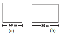 Page 171 Chapter 11 Class 8th Non-Rationalised NCERT 2019-20 Page 171 Chapter 11 Class 8th Non-Rationalised NCERT 2019-20